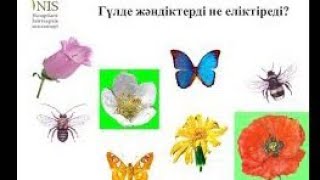 7 сынып. Биология. Гүлдің құрылысы, гүлді өсімдіктердің тозаңдануы. көрсетілім