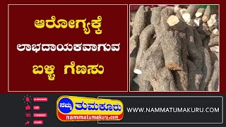 ಆರೋಗ್ಯ ಕ್ಕೆ ಲಾಭದಾಯಕವಾಗುವ ಬಳ್ಳಿ ಗೆಣಸು  | Namma Tumakuru