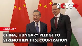 China, Hungary Pledge to Strengthen Ties, Cooperation