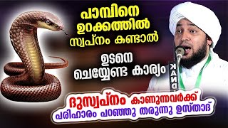 പാമ്പിനെ ഉറക്കത്തിൽ സ്വപ്നം കണ്ടാൽ ഉടനെ ഈ കാര്യം ചെയ്യുക...!! Perod Azhari