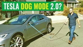 Fun with Tesla's Enhanced Smart Summon: Dog Mode 2.0?