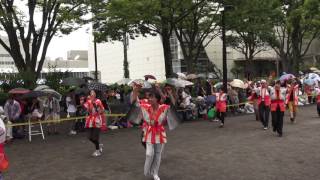 あったか高知踊り子隊IN原宿（スーパーよさこい2016）