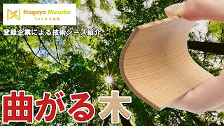 Nagoya Musubu Tech Lab登録企業技術シーズ紹介1　「曲がる木について」