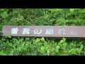 曽我の隠れ岩 音止の滝　 富士宮市）