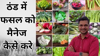 ठंड में फसल को मैनेज कैसे करे । plant growth in winter