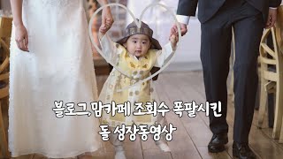 재미와 감동의 돌 성장동영상 / 탐구생활,오마이베이비,엄마가딸에게(vllo)