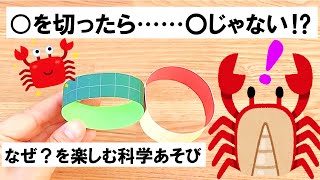 【科学あそび022】〇を切ったら〇じゃない？