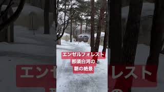 【憧れのドームコテージ泊】エンゼルフォレスト那須白河の朝の雪景色。広い！