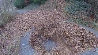 25 Mesmerizing Minutes Of Leaf Blowing