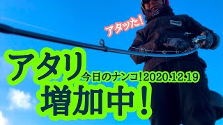 【今日のナンコ！2020.12.19】アタリ増加中！【琵琶湖バス釣り】