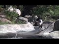 Three endangered giant otter pups made their debut at the Los Angeles Zoo Thursday. (July 17)