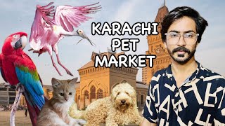 Karachi Pet Market | full vlog