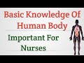 Basic Knowledge Of Human Body (Important For Nurses)