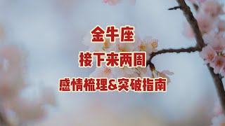 金牛座，接下来两周，情感走向&挽回指南：刻骨铭心，得人憔悴，共筑幸福，余生不离