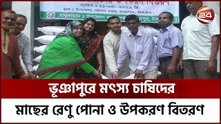 টাঙ্গাইলের ভূঞাপুরে মৎস্য চাষিদের মাছের রেণু পোনা ও উপকরণ বিতরণ | Bhuapur News | Channel 24