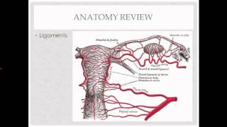 abdominal hysterectomy - description, indications and questions