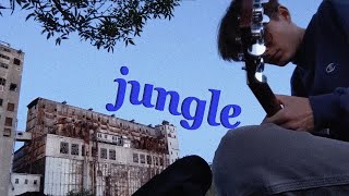 jungle - tash sultana acoustic jam