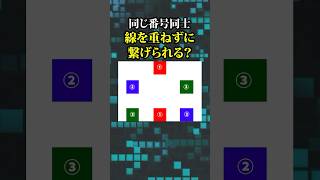 【数学領域パズル】同じ番号同士線を重ねずに繋げられる？#数学#クイズ#問題 #文系#理系