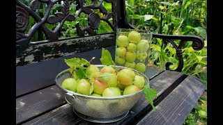 小さな窓の花ごよみ 685 夕焼けとりんご ♪ シャコンヌ：寺井尚子 ♪