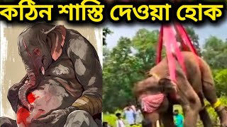 নৃশংস ভাবে মেরে ফেলা হলো অন্তঃসত্ত্বা হাতিকে | এদের কঠোর শাস্তি দেওয়া হোক | ELEPHANT WAS KILLED