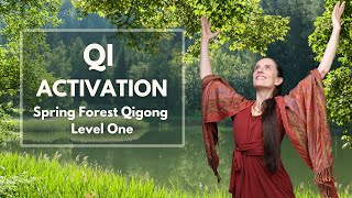 Spring Forest Qigong Level One: Qi Activation