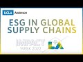 Uncovering ESG and Supply Chain Blind Spots