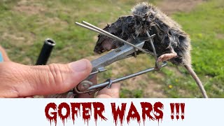 Best Gopher trap!! Gopher Hawk trap review.