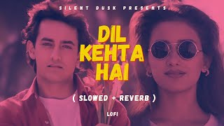 Dil Kehta Hai(Slowed + Reverb) | Kumar Sanu | Amir Khan | Silent Dusk | #romanticsong