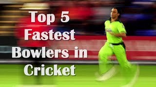 Top Fastest Balls Bowled In Cricket History Shoaib Akhtar - Bret Lee and Shaun Tait