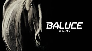 【TVCM】バルーチェ サラブレッド篇 30秒【BAL大橋産業公式】