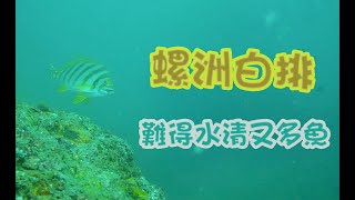 《陸上人的水上生活》 #03 螺洲白排