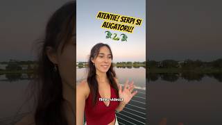 Atentie! Serpi si Aligatori in apa! 😳 | Andra Gogan Daily