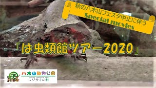 動画で「は虫類館ツアー2020」（秋の八木山フェスタ中止に伴うSpecial movies２）