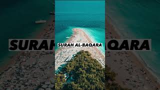 SURAH AL-BAQARA |Ayaat 104+105| Recitation by Mishary Rashid Alafasy | Islam The Heavenly Path