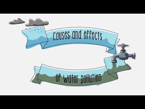 How does water pollution affect the community?