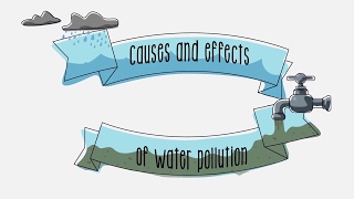Causes and effects of water pollution - Sustainability | ACCIONA