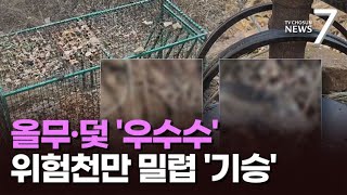 2시간 만에 올무 40여 개가 '우수수'…야생동물 씨 말리는 불법 밀렵 '극성' [뉴스7]