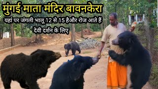 भालू वाला मंदिर | Mungai Mata Mandir Chhattisgarh | Bears at Mungai Mata Mandir | Vlogs Rahul