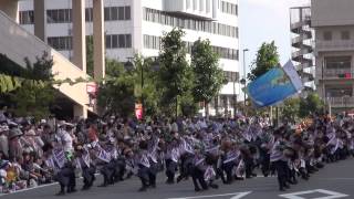 東京理科大yosakoi部・パレード＠2014　YOSAKOIかまがや