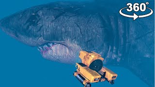 360° GTA 5 Megalodon Shark Attack in VR | GTA 5 360° VR Video