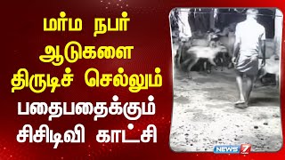 மர்ம நபர் ஆடுகளை திருடிச் செல்லும் பதைபதைக்கும் சிசிடிவி காட்சி | Madurai | News7 Tamil