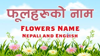 फूलहरुको नाम  | Flowers Name in English and Nepali