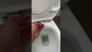 How to remove the toilet seat that NO tutorials show