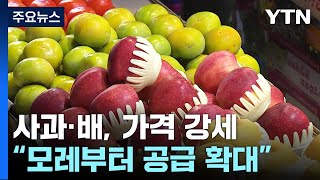 사과·배, 추석 앞두고 가격 강세...\