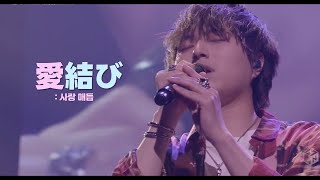 💞Novelbright - 愛結び(사랑매듭)💞(開幕宣言 TOUR LIVE) [한글자막/일본어발음/lyrics]