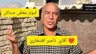 ❤️مهر ماه  ۱۴۰۱ پرواز کبوتران معلقی صداکن ایرانی  آقای ناصر افتخاری از اصفهان iranian pigeon