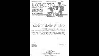 これ弾いてみましょう!   Ugo Bottacchiari : Fox-Trot delle Anitre U.ボッタッキアリ「アヒルのトロット」