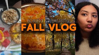 BORING *FALL* DAY IN MY LIFE🍂|sister sleepover,Christmas shopping,grocery haul,self care,meal prep|🍁