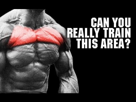 Target Your UPPER CHEST (Pec Isolation Reality!!) Target Your UPPER CHEST (Pec Isolation Reality!!)