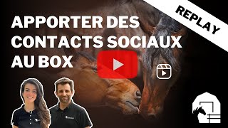 REPLAY WEBINAIRE I Apporter des contacts sociaux au box